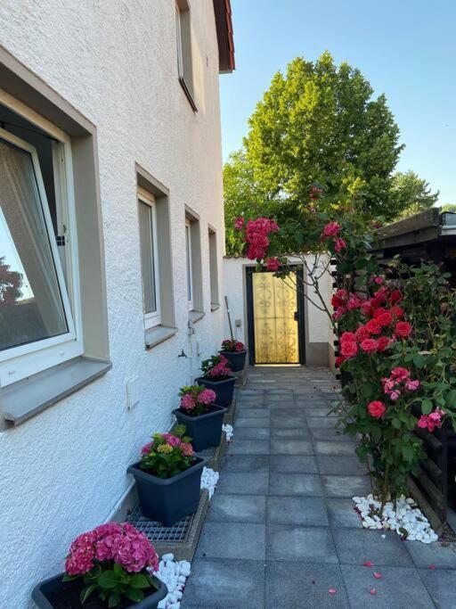 Bronzetaler Apartment Bad Harzburg Ngoại thất bức ảnh